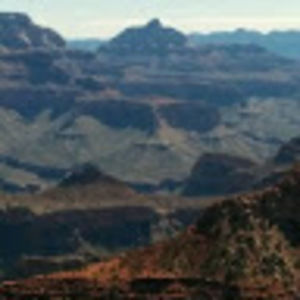 Meet your Posher, Nadine